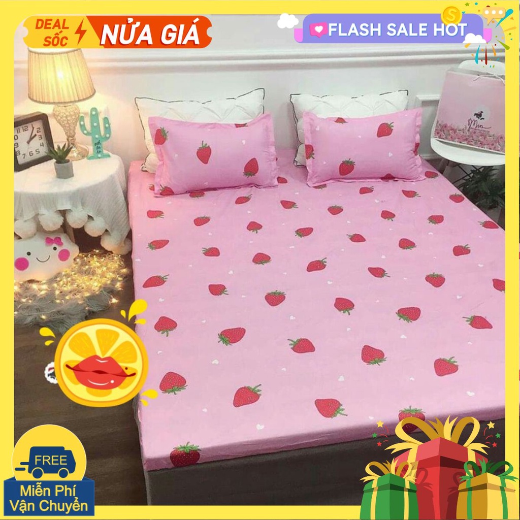 Bộ ga gối Drap 1m6 Cotton Poly Vikona mã 13