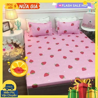 Bộ ga gối drap 1m6 cotton poly vikona mã 13