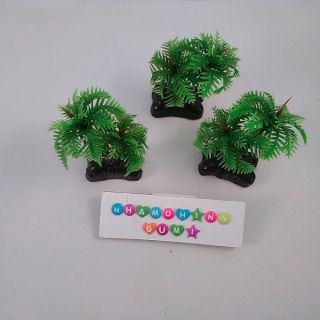 Cây dừa trang trí