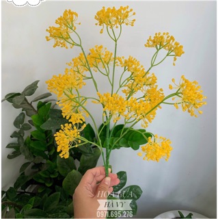 Hoa lụa | HOA SAO (Ảnh thật shop chụp)