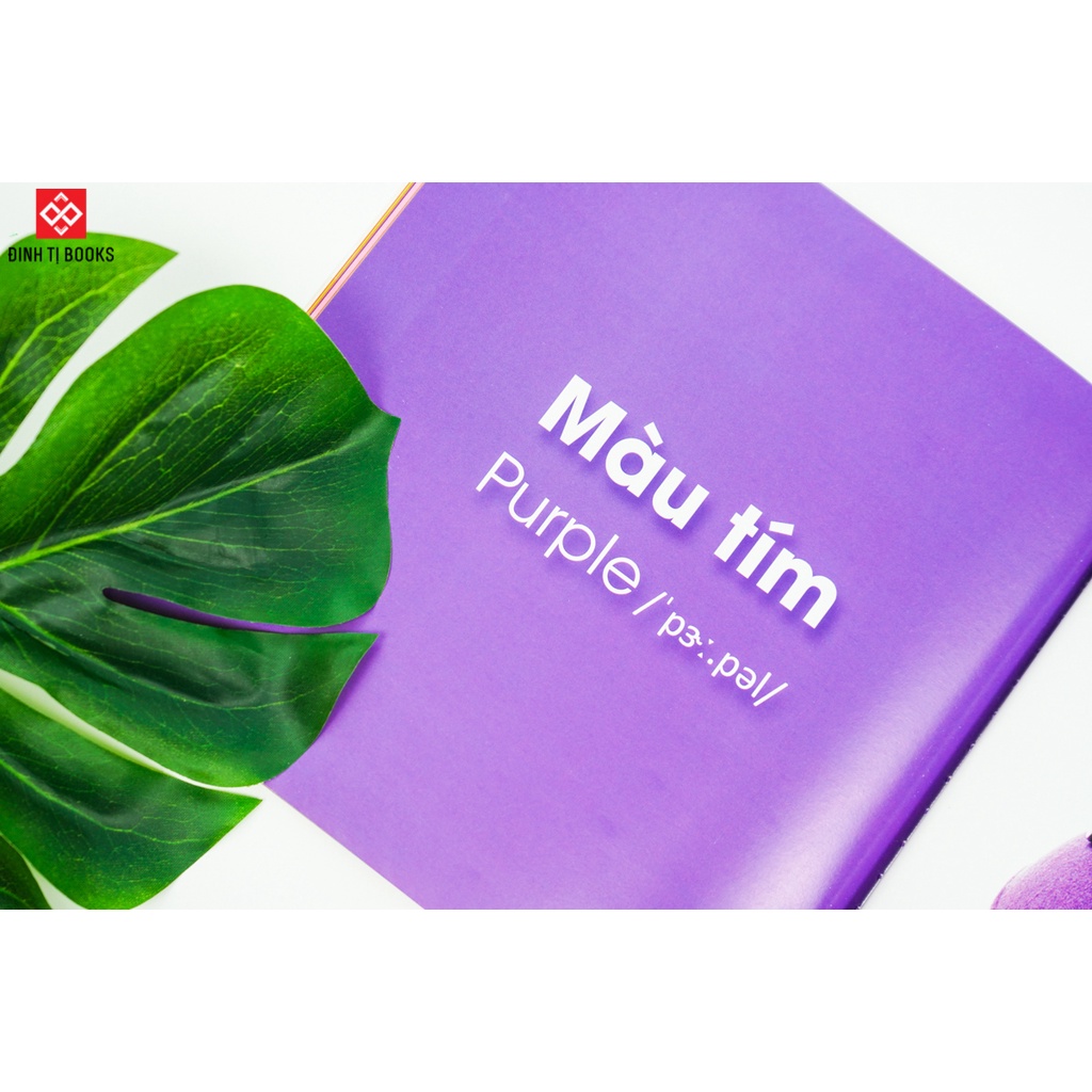 Sách - Từ điển bằng hình cho bé