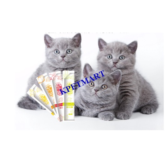 súp (xốt) sữa dê ăn dặm cho mèo con túi 6 gói 15g (90g)