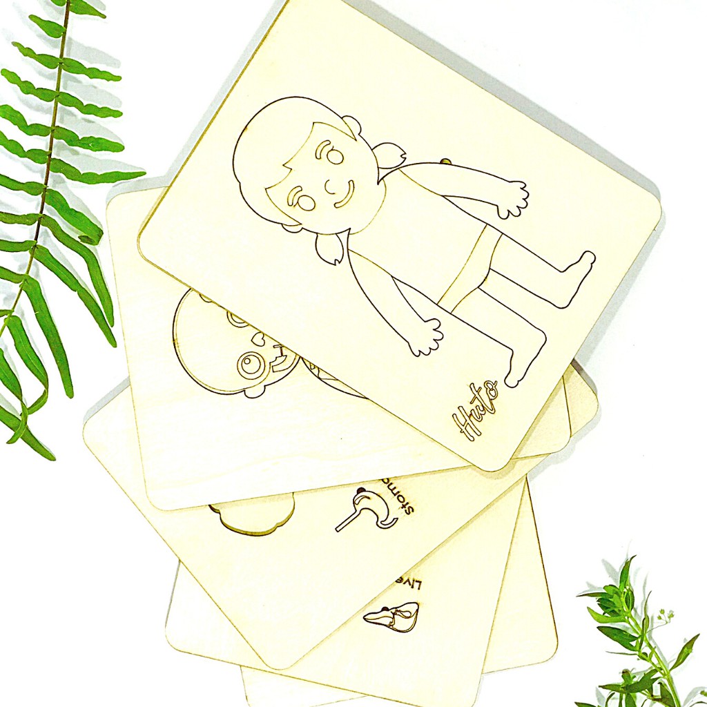 Đồ Chơi Tranh Ghép Cơ Thể Người 3D Bằng Gỗ