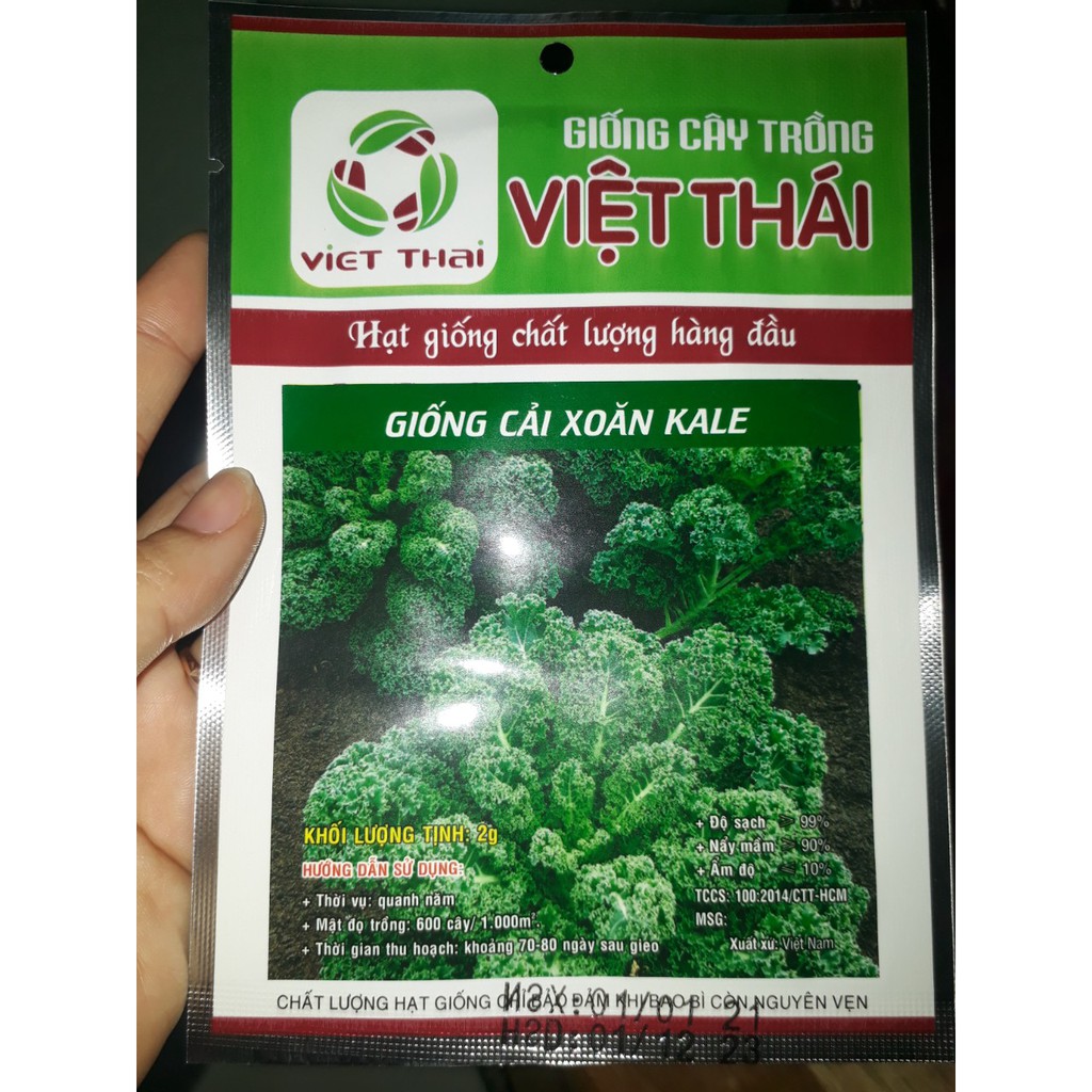 Hạt giống Cải xoăn KALE_2g_khoảng 400 hạt