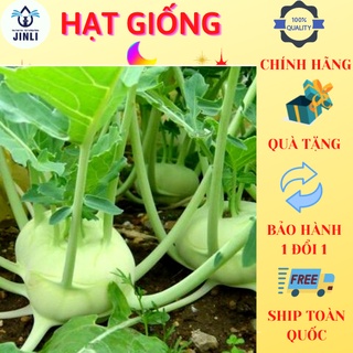 Hạt Giống Su hào Rado gói 1g, siêu rẻ, dễ trồng, dễ chăm sóc, thời gian thu hoạch ngắn JL39