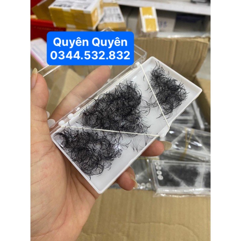 Mi fan 5d hộp 1000 fan-dụng cụ nôi mi quyên quyên