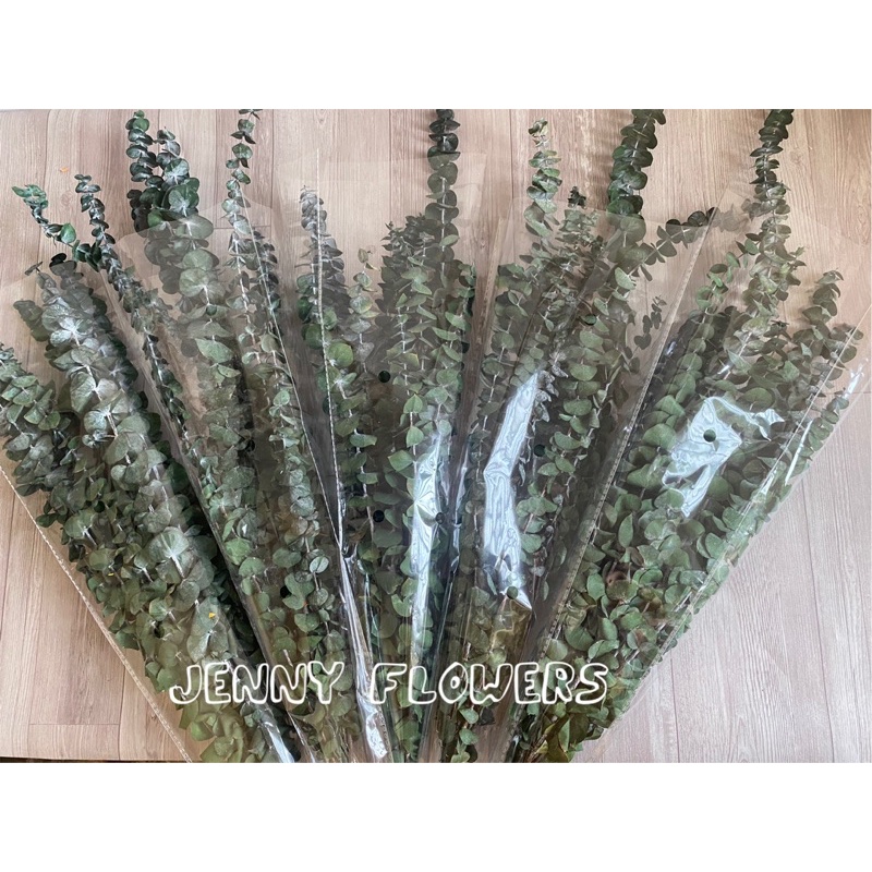 Cành lá khuynh diệp khô, hoa khô decor trang trí phòng khách decor vintage, phụ kiện chụp ảnh