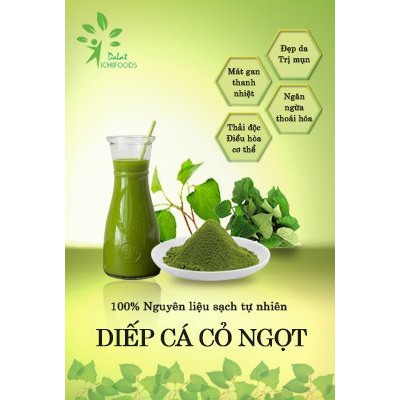 Bột diếp cá cỏ ngọt sấy lạnh Dalat ichifoods, công nghệ Nhật