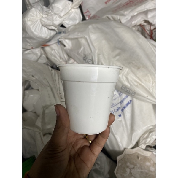 (8x8) Chậu nhựa mini trồng cây TD8,trong sen đá, xương rồng, hoa nhỏ