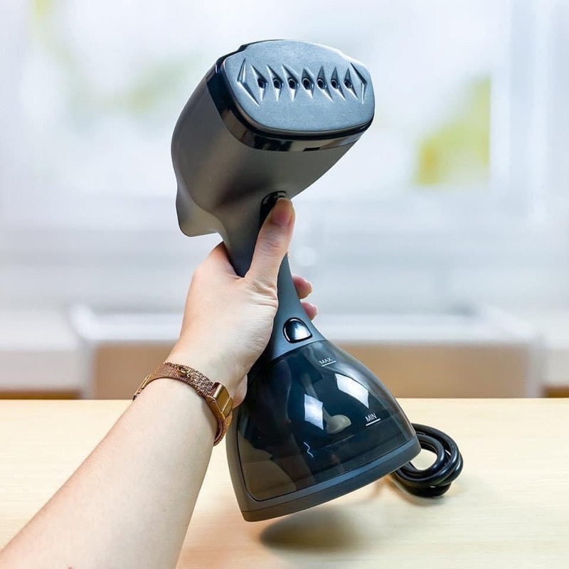 Bàn là hơi nước Lebenlang