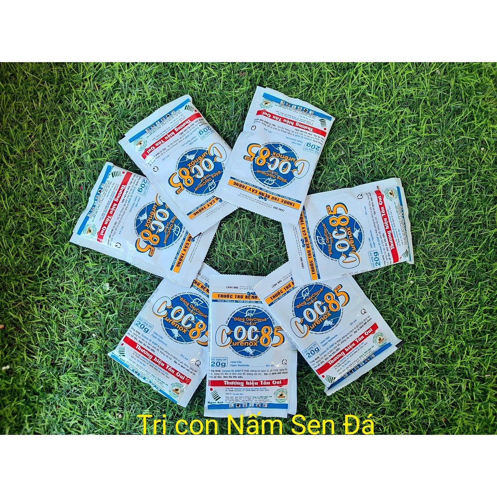 Thuốc phòng trừ nấm bệnh thối thân, đen lá dành cho sen đá, các loại cây khác Coc 85