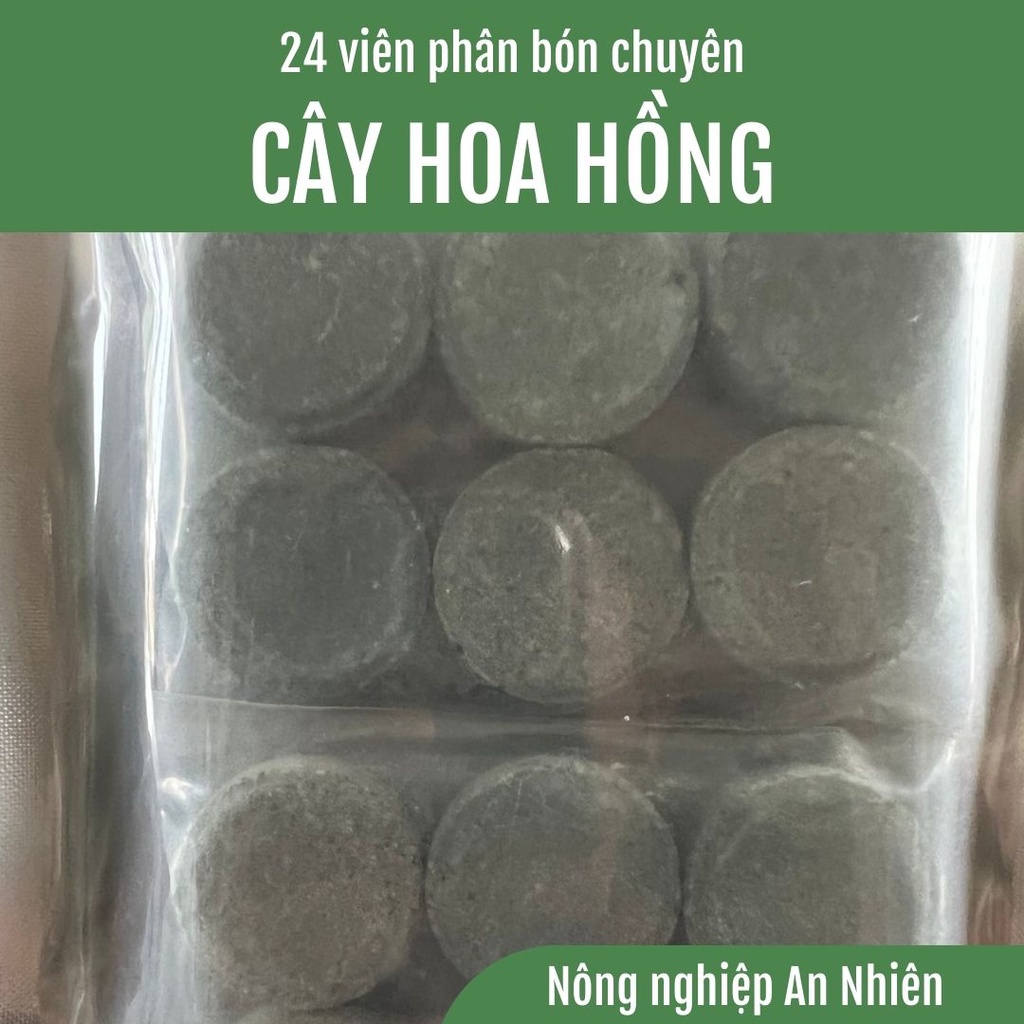 24 Viên Phân Bón Chuyên Dùng Cho Hoa Hồng, Cây cảnh, Phân tan chậm, Phân viên nén