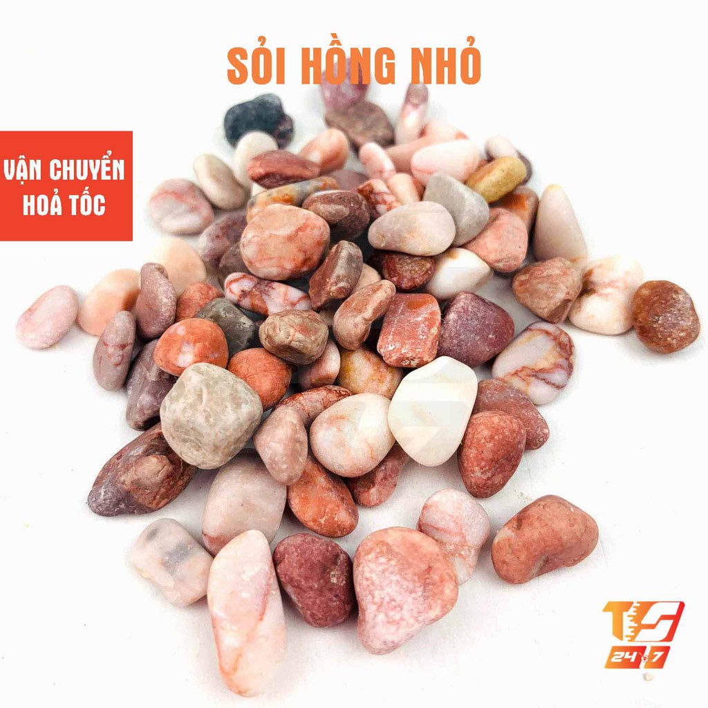 1kg Sỏi Hồng Trang Trí Hồ Cá, Bể Thủy Sinh Tiểu Cảnh Sân Vườn, Lót Chậu