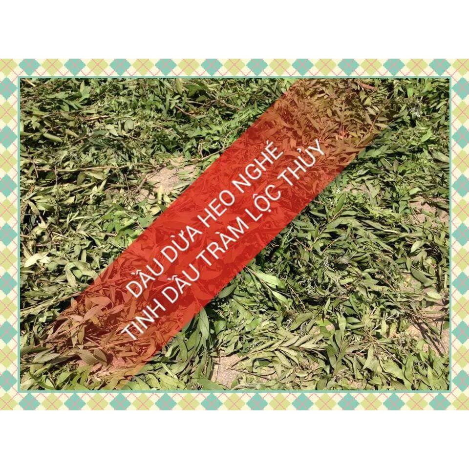 TINH DẦU TRÀM 100ML