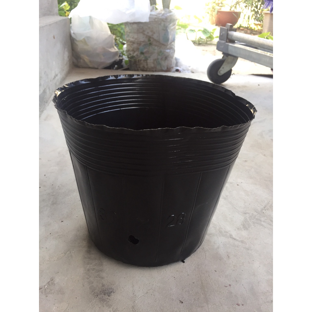 BẦU ƯƠM CÂY 30*28 ( DỊCH TRUYỀN CHO CÂY, KÍCH RỄ , MẦM CÂY XANH LÁ, LƯỚI CHE NẮNG...)