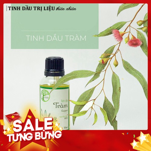[GIÁ SỈ] Tinh Dầu Tràm AHIMSA Nguyên Chất 30ml - Tinh Dầu Thiên Nhiên