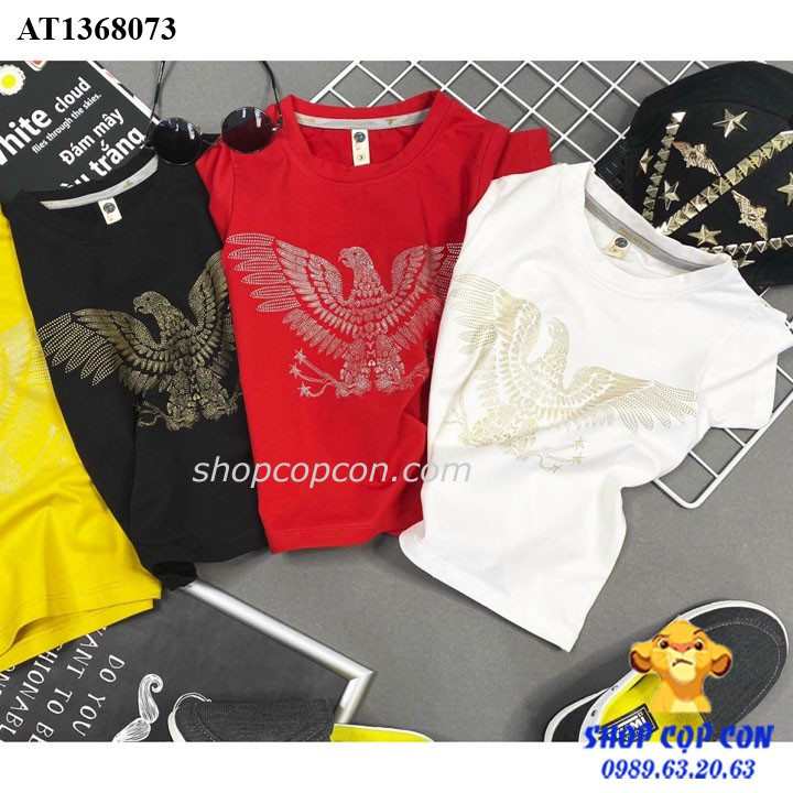 Áo thun in nhũ hình đại bàng cho bé từ 20-32kg