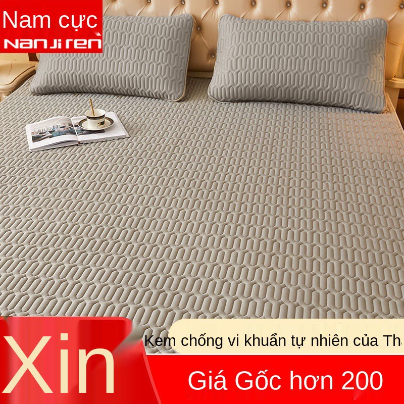 Chiếu cao su băng giá bộ 3 tấm trải giường đôi trải giường 1,5m hộ gia đình đơn ký túc xá gấp 0,6m