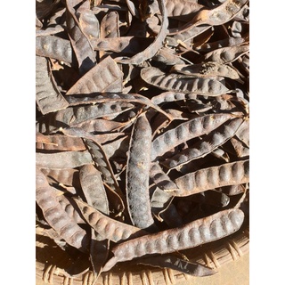 1kg bồ kết khô