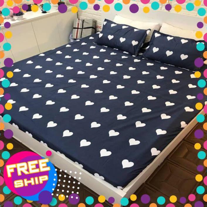 Xả kho cuối năm bộ grap giường cotton poly