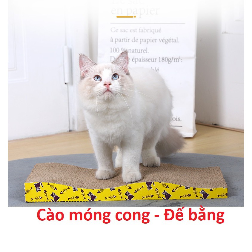 Bàn Cào móng cho mèo Loại Cong đế bằng size 43x22x35cm