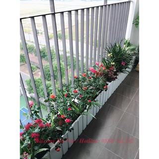 Chậu nhựa cao cấp picomat