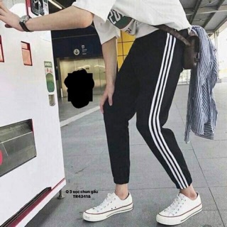 Quần baggy 3 sọc chun gấu ( TR)