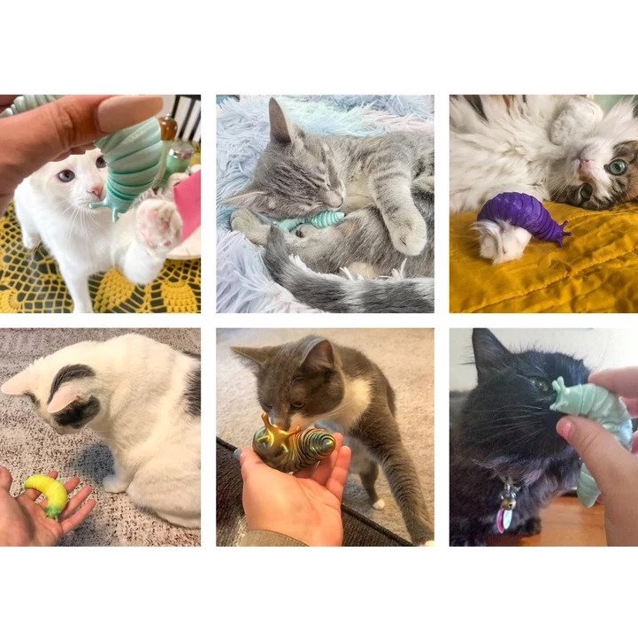 Bé sên - giống sâu đồ chơi linh hoạt xả stress trang trí bàn - IN3D.INDINI