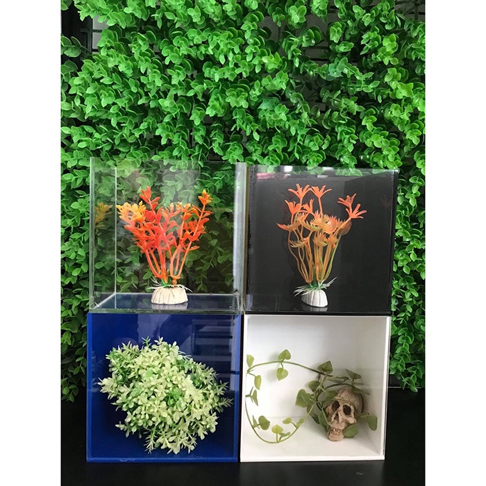 HỒ SHOW CÁ BETTA GUPPY ACRYLIC SIÊU TRONG 11X15X17CM