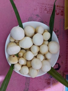 [ Siêu Hot] Mộng Dừa Tươi Bến Tre - 1 kg