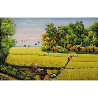 Tranh dán tường Tranh đồng quê cánh đồng mùa gặt lúa sinh động, sẵn keo mặt sau