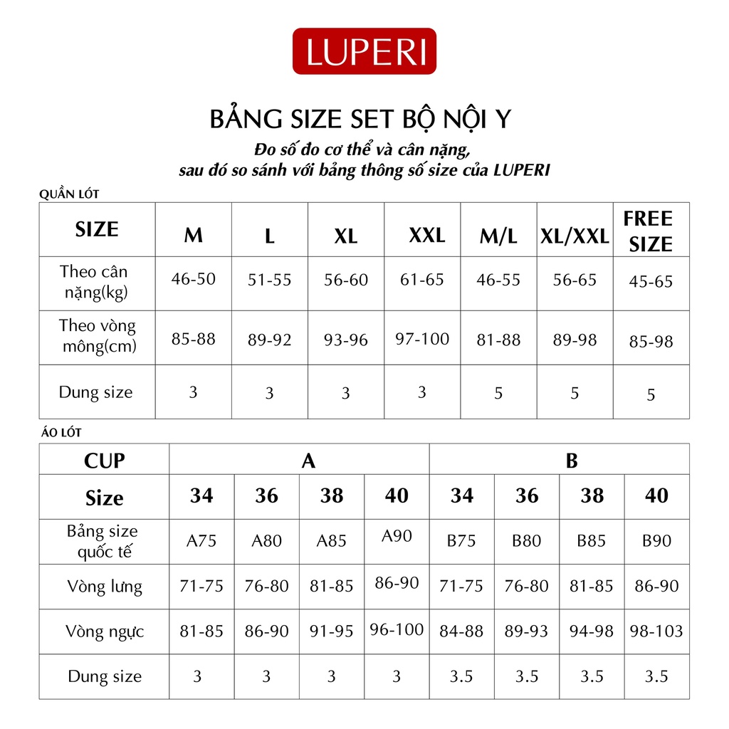 Set bộ đồ lót ren nữ sexy vải lưới thêu hoa kháng khuẩn cao cấp Luperi NY820