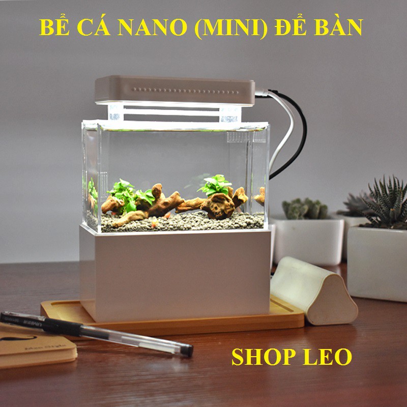 Bể cá mini để bàn  - Hồ thủy sinh Nano - shopleo