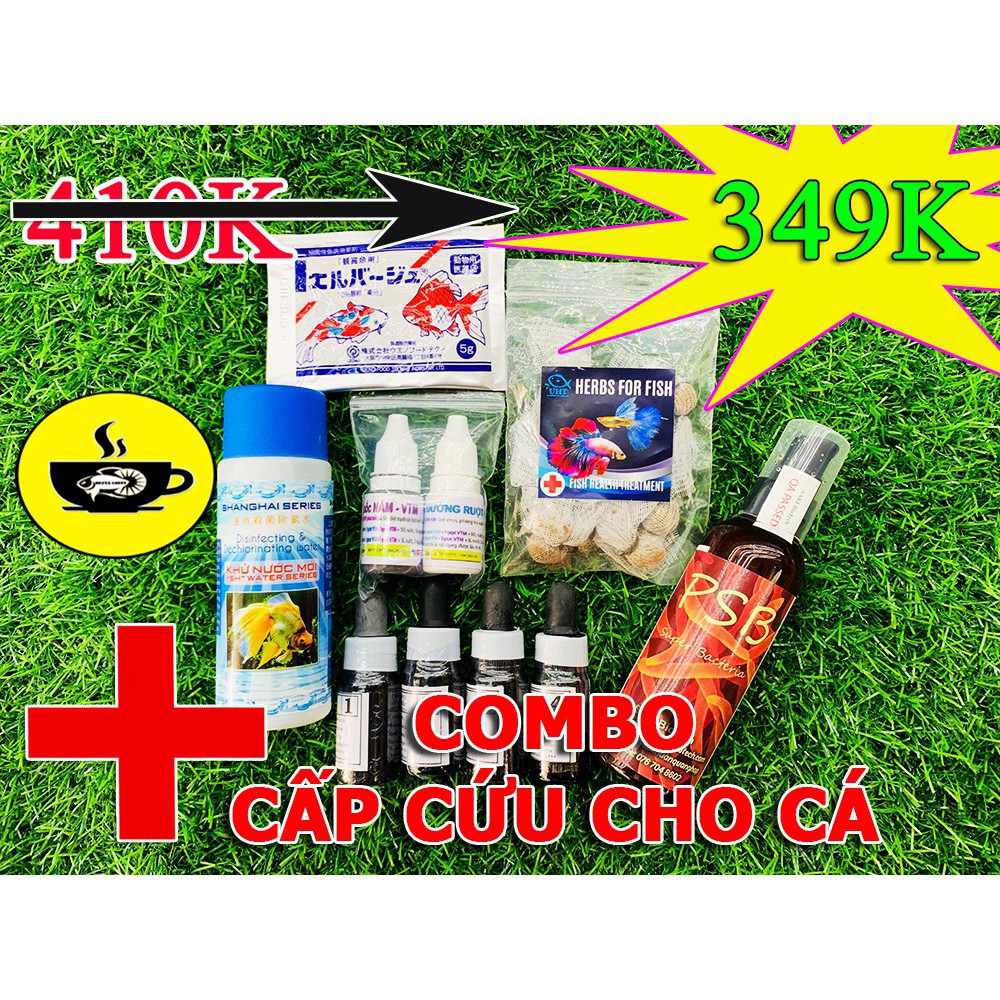 Rổ đựng trùn chỉ - Phễu Loại tốt, đáy dẹp ✅ BETTA COFFY ☕️