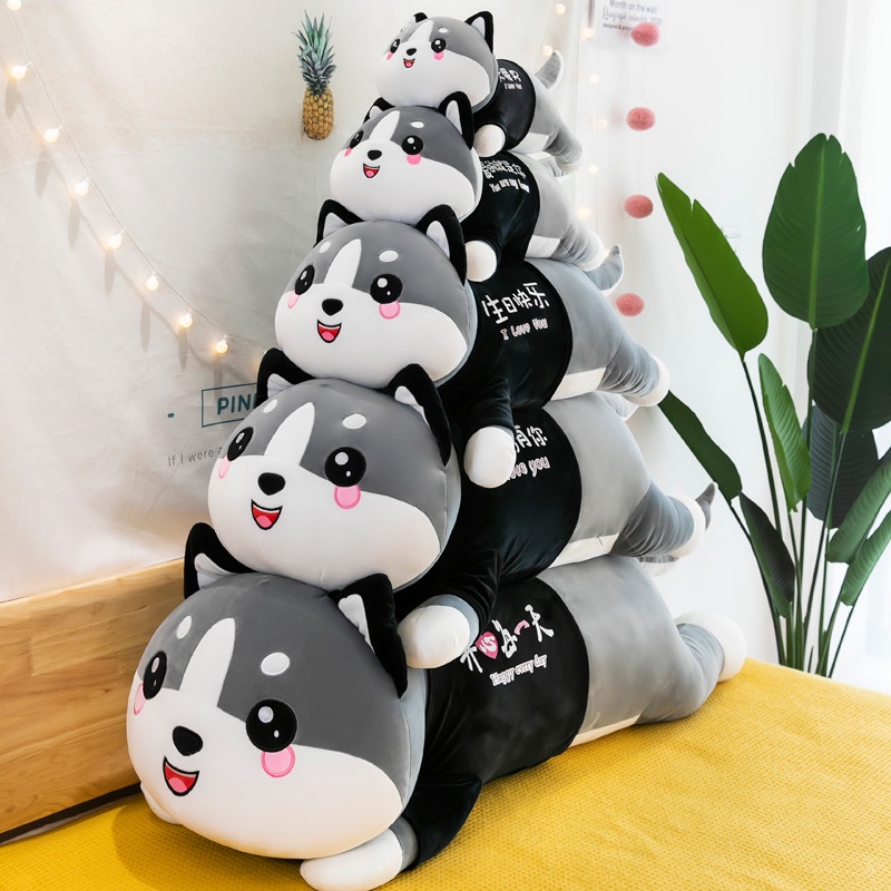 Gấu bông giá rẻ husky ôm ngủ mèo cute đồ chơi đáng yêu cho bé size 50cm 60cm 90cm