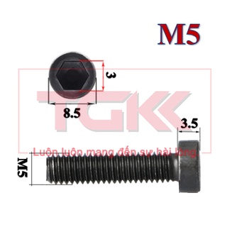 Bulong lgc đầu trụ mỏng 12.9 m5x10 din7984