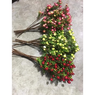 hoa giả,lựu nhỏ