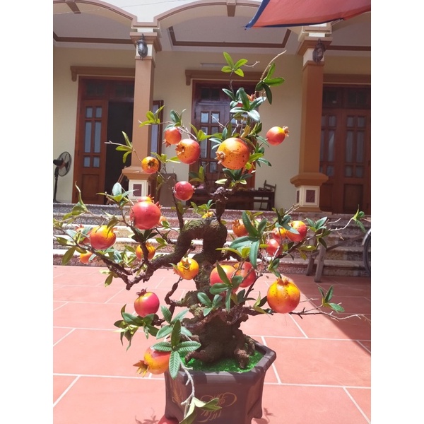 Gốc bonsai,thân cây giả dáng Mẫu tử 70-90cm làm hoa mai đào,cây tùng,phong,các loại quả