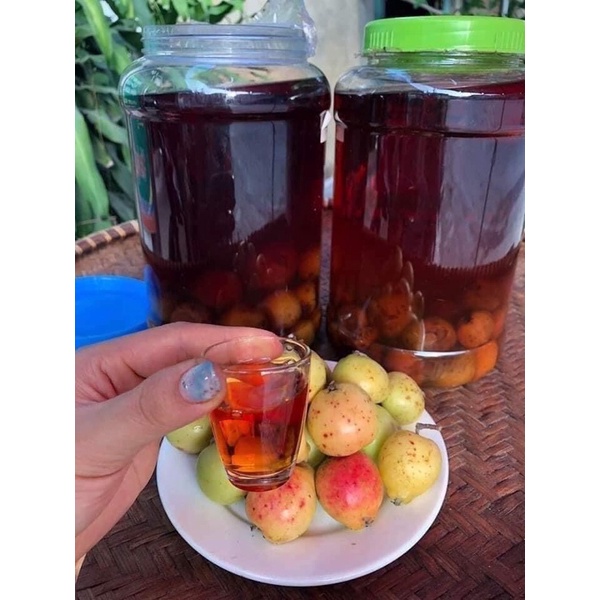 Táo mèo tươi ngâm rượu/ hàng cuối vụ chín
