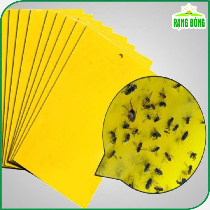 Miếng Dán Bẫy Côn Trùng, Ruồi Vàng, Phấn Trắng thích hợp nông nghiệp sạch - Hạt giống Rạng Đông