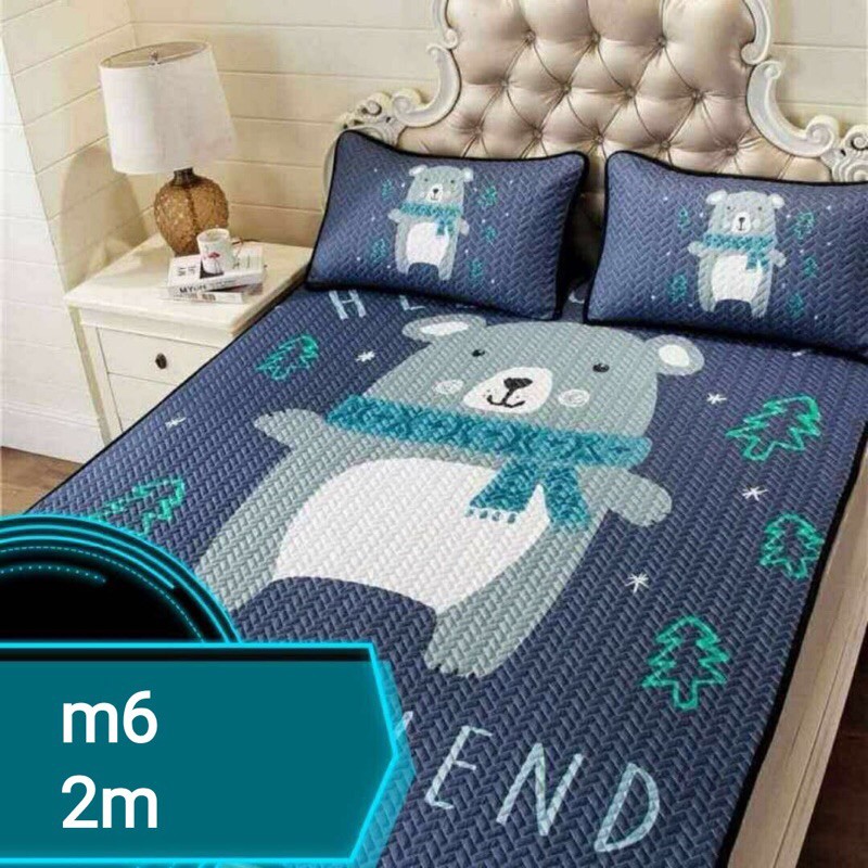 Chiếu điều hoà Tencel 3D m6x2m