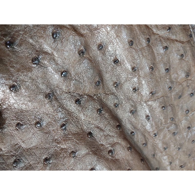 Túi da đ à đ i ể u thật