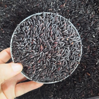 1kg gạo lức than đen Điện Biên cơ sở nhà Ong
