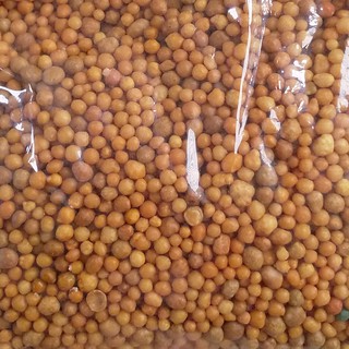 500g phân tan chậm Mỹ 14-14-14