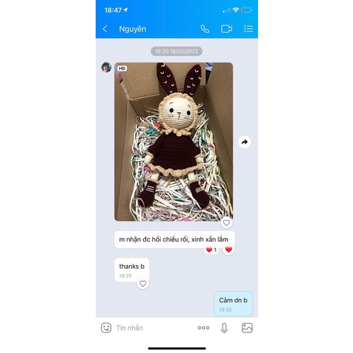 Thỏ Mimi và Miti - thú len - handmade