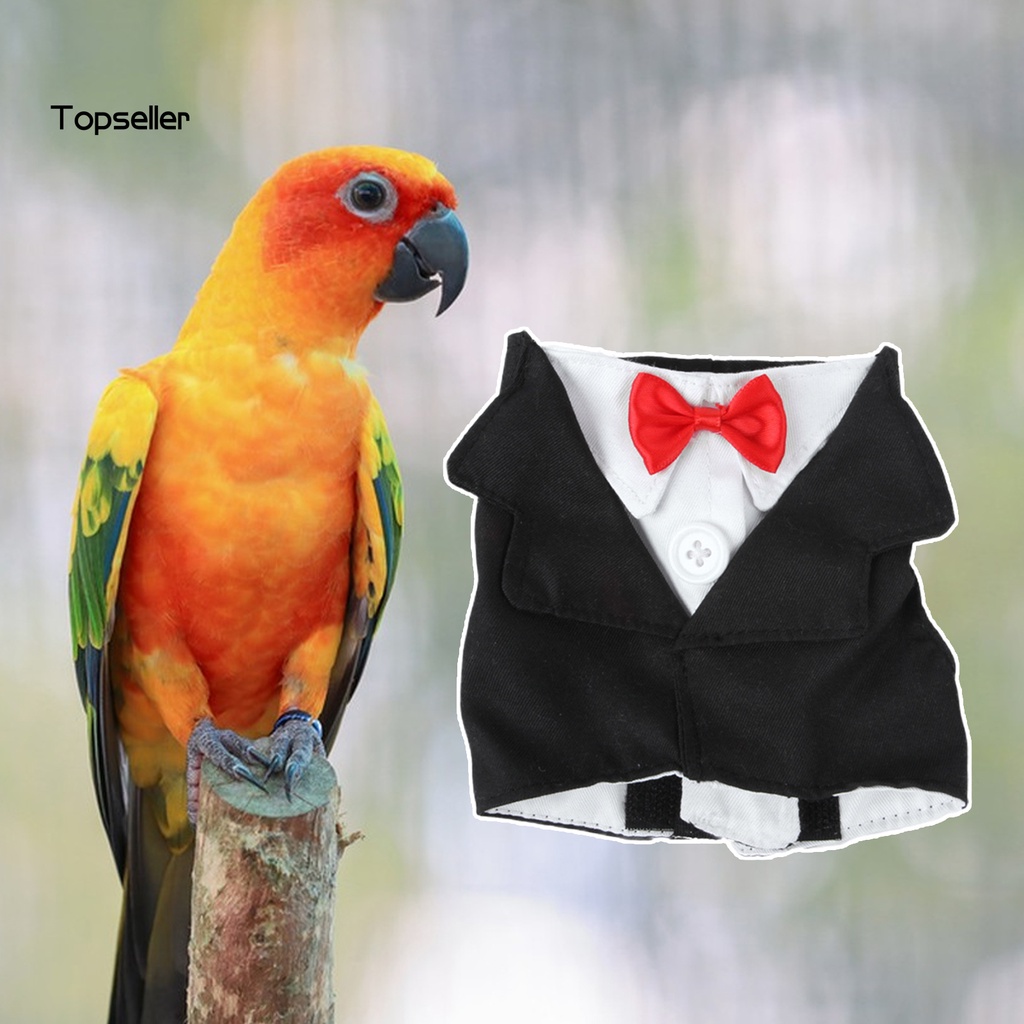 Áo Khoác Lông Vũ / Nơ Cổ Mini Dễ Thương Cho Chim Vẹt Chơi