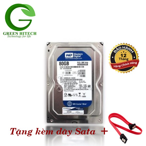 Ổ Cứng máy tính gắn trong HDD 80GB WD SATA - Hàng Chính Hãng - BH 12 tháng - 1 đổi 1 | BigBuy360 - bigbuy360.vn