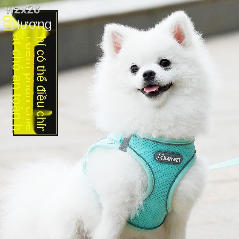 Dây xích cho chó kiểu vest, nhỏ, đeo ngực, con, dắt đi dạo, Teddy, Bichon, Pomeranian