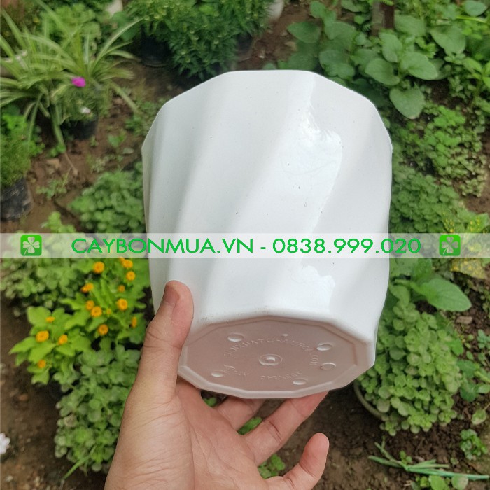 COMBO CHẬU + ĐĨA - Chậu nhựa trắng cao cấp - Chậu loại dày - Chậu với họa tiết xoắn