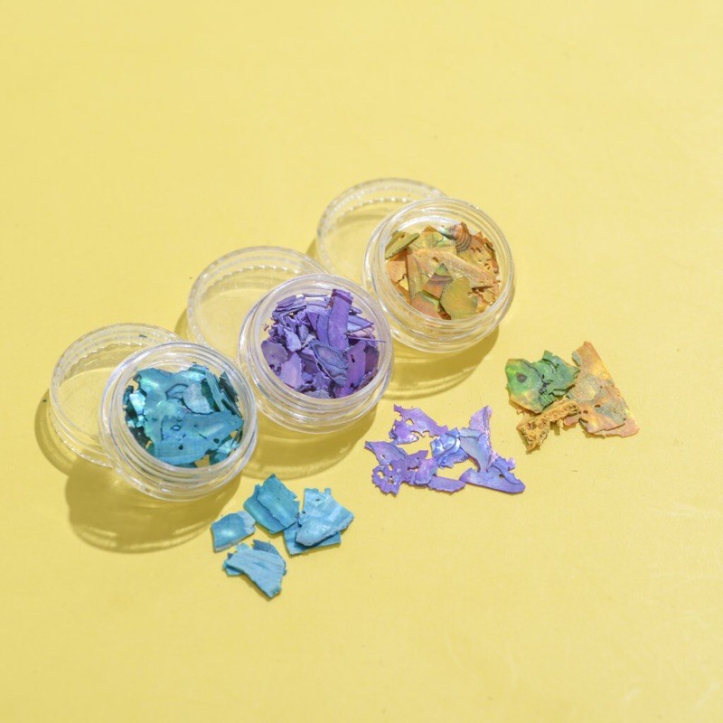 Set 12 hũ xà cừ vân gỗ ánh cầu vồng - xà cừ nail trang trí móng tay (1 hũ/2g - 1 set/24g)